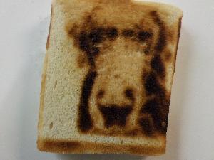Example Toast