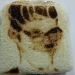 SAM 5555