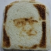 SAM 5420