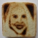 SAM 2606