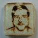 SAM 4009
