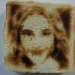SAM 3009